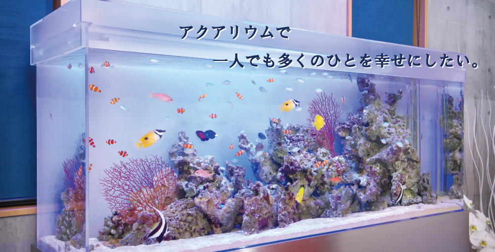 アクアセラピー「蔵」　宮崎県都城市のメンテナンス付きレンタル水槽サービスです
